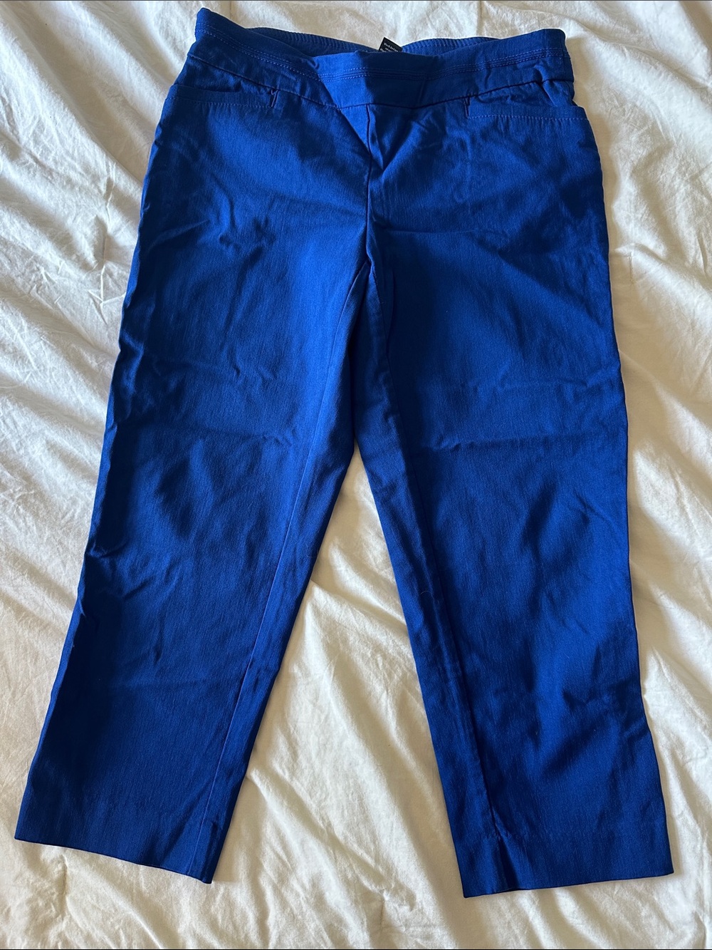 Apt. 9 Cropped Ankle Pants in Bright Royal Blue